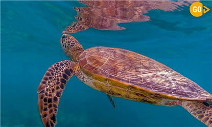 Wycieczki plażowe i nadmorskie